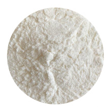 Bulk Raw Materials Probiotics Bifidobacterium Bifidum Pure Powder
